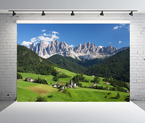BELECO fondo fotográfico 10x8FT de tela poliéster miniatura 3