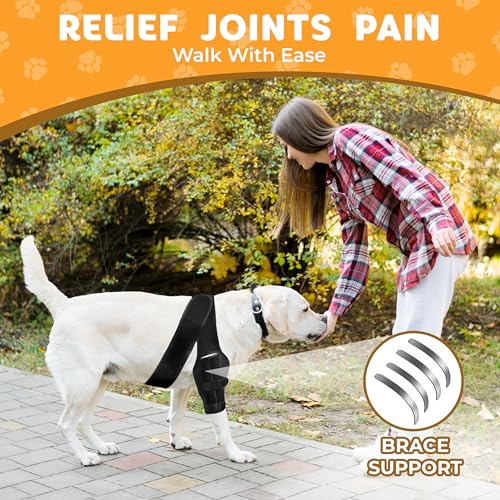 Image of New Dog Knee Brace for Luxating Patella, ACL or Cruciate Ligament Injury Recovery, Osteoarthritis, Hip Dysplasia, or Arthritis Pain Relief, Flexible Spring Support (Medium)