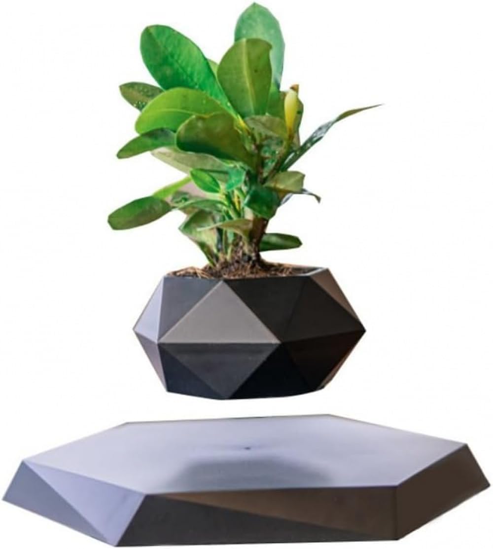 植木鉢 Invisible Ink FRAGILES MEX 1.5 鉢・プランター invisible ink 植木鉢 Invisible Ink FRAGILES MEX 1.5 鉢・プランター invisible ink