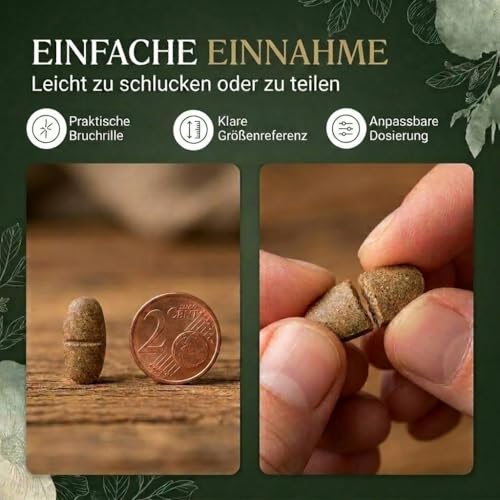 MoriVeda Triphala Presslinge 1000mg, Ayurvedische Dreifrucht-Mischung aus Amla, Haritaki & Bibhitak, pflanzliches Ergänzungsmittel vegan, 120 Tabletten