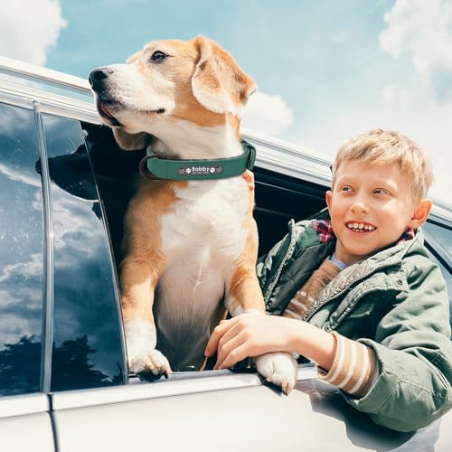 Hundehalsband, personalisierbar, mit Namen und Telefonnummer, verstellbares Welpenhalsband mit Sicherheitsschnalle für kleine, mittelgroße und große Hunde