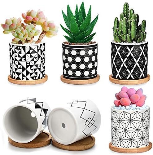 Succulent Pots 6 Pack,3 Inch Ceramic Planter with Drainage and Bamboo Tray, Geometric Patterns Small Plant Pots Decor for Home and Office - Plants NOT Included 【2021 New Upgraded】