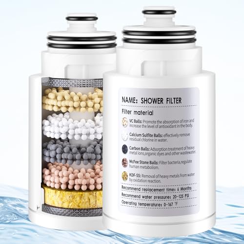 SINGSUO 2-Pack KDF Shower Filter Cartridge