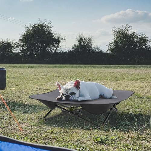 NAIZY Hundebett Erhöhtes Katzenbett 68x68x21 cm, S Größe Faltbar Hundeliege Atmungsaktivem Polyester Haustierbett abnehmbar waschbar Haustierliege, für Indoor-Outdoor