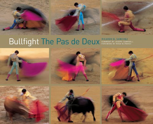 Bullfight: The Pas de Deux
