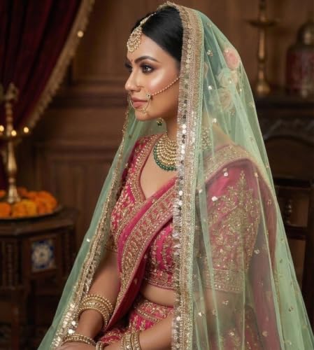 Image of Navti Creations Women's Lightweight Net Dupatta With Sequence Embroidery & Kiran Border (Length 2.25m)