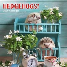 Carousel Calendars, Hedgehogs 2026 Wall Calendar, 12 X 12, 16-Month Calendar with Stapled Binding