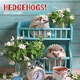 Carousel Calendars, Hedgehogs 2026 Wall Calendar, 12'' X 12'', 16-Month Calendar with Stapled Binding