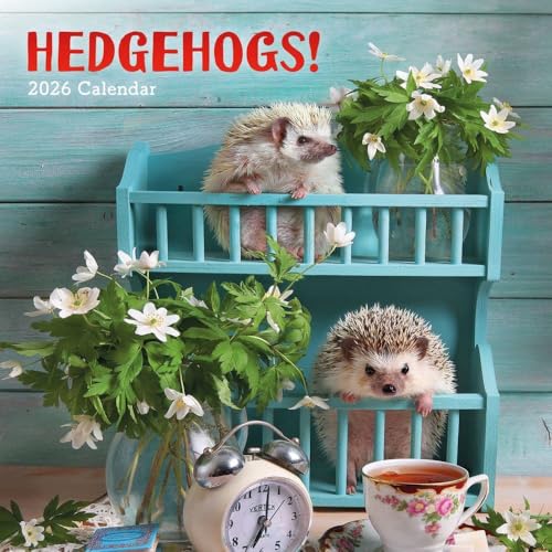Carousel Calendars, Hedgehogs 2026 Wall Calendar, 12'' X 12'', 16-Month Calendar with Stapled Binding