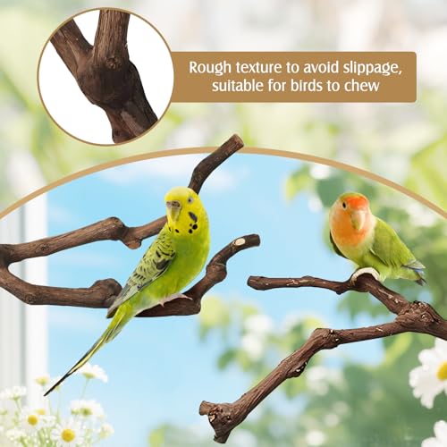 Image of PINVNBY Natural Parrot Perch Grape Wood Bird Stand Pole Parakeet Paw Grinding Fork Chewable Climbing Branches Toy Bird Cage Accessories for Budgies Conures Cockatiels Lovebirds (2 PCS, 5.9IN)