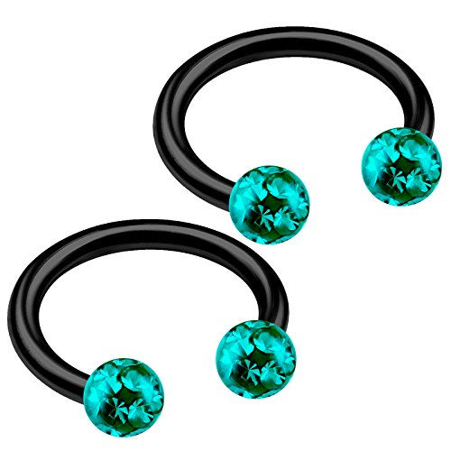 2pcs 16g Circular Barbell Black Titanium G23 Ear Helix Lip Eyebrow Tragus Nose Snake Septum Cartilage Bite Ring B2ICT