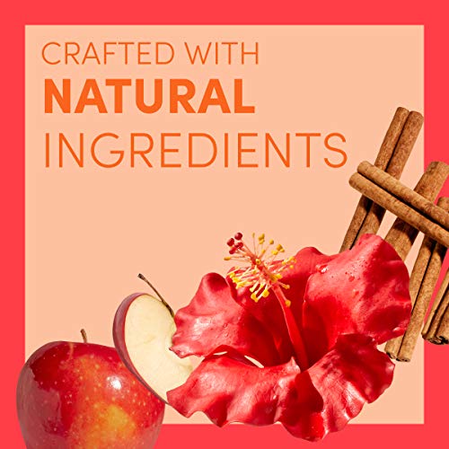 Teavana Craft Passion Tango Iced Natural Herbal Tea with Apple, Lemongrass, Cinnamon, Hibiscus Flavor 12 Fl. Oz. Cans (Pack of 12)