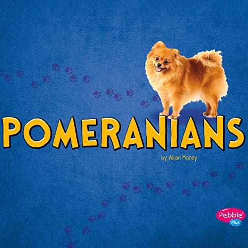 Pomeranians by Allan Morey episode artwork