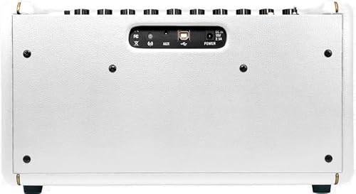 Gitarrenverstärker Positive Grid Spark Pearl mit Tragetasche