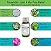 Dog Hip and Joint Support Supplement - All Natural Pain Relief and Effective Anti-Inflammatory Relieves Chronic Arthritis Pain and Improves Mobility with no Side-Effects (450 Pills)