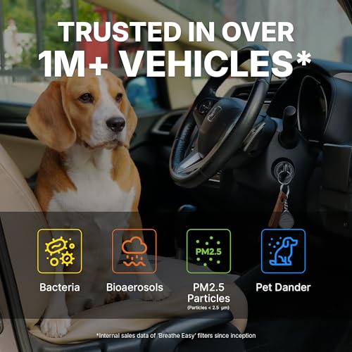 Spearhead HEPA Breathe Easy Cabin Filter, Up to 99.97% Filtration of 0.3 Micron Particles w/No Airflow Reduction (BE-157H)