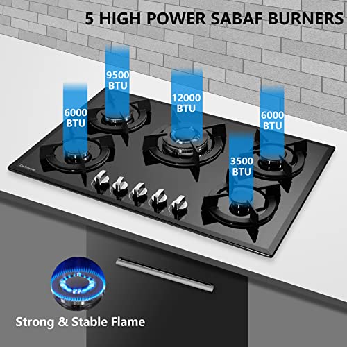 30 Inch Gas Cooktop, Built-in Tempered Glass 5 Burners Gas Stovetop LPG/NG Convertible Gas Stove Top Dual Fuel Gas Hob DM517-01