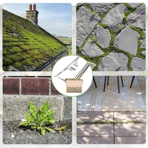 mcwdoit Crack Weeder Tool, Crevice Weeding Moss Brush with 2 Heads&Scraping Hook, A Hand Puller Tool, Moss Remover with Steel Handle for Cleaning Paving Joint Paver Sidewalk Patio Stone Driveway Deck - Thumbnail 6