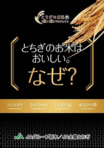 Amazon.co.jp: パールライス 栃木県産 白米 なすひかり 5kg 令和7年産