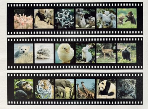 Personalised Edible Photo Film Reel Negatives Cake Topper/Ri