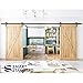 SMARTSTANDARD 16FT Heavy Duty Double Door Sliding Barn Door Hardware Kit,Smoothly and Quietly-Easy to Install-includes Step-by-Step Installation Instruction Fit 48