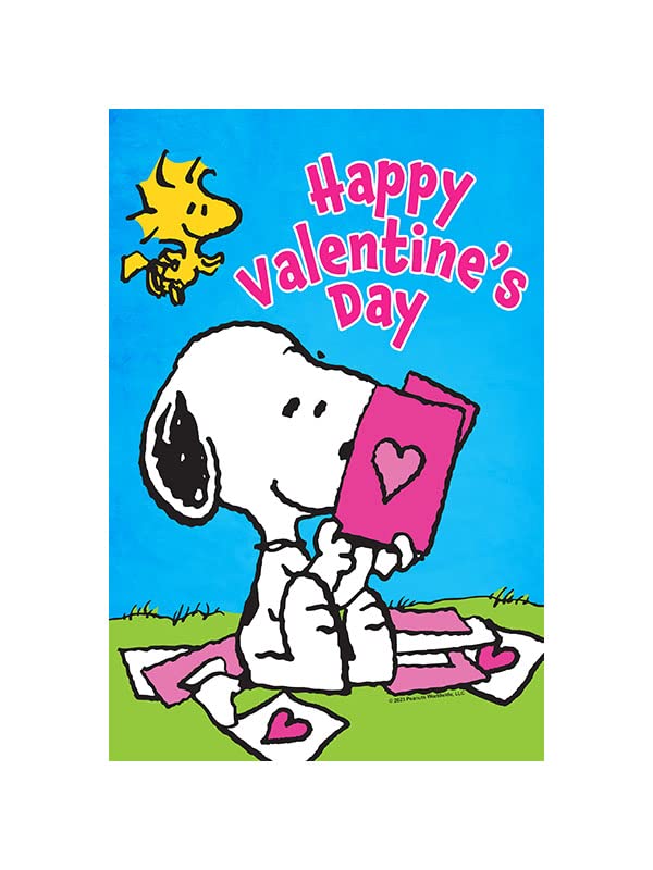 Amazon.com : Flagology.com, PEANUTS®, PEANUTS® Snoopy