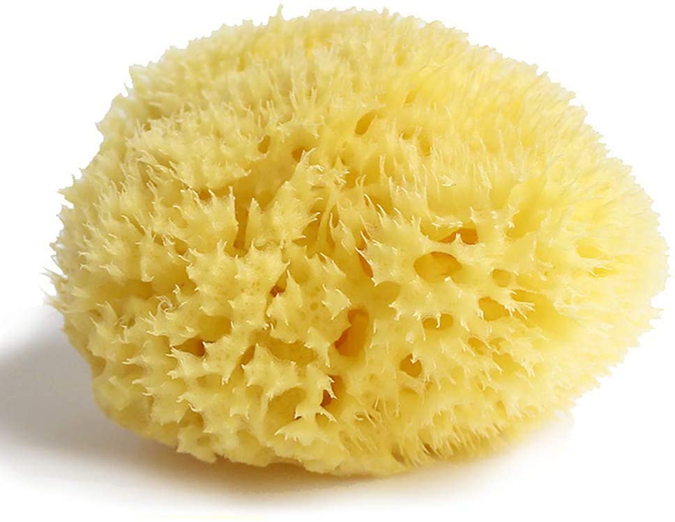 Esponja natural de mar para baño baño baño acuario de origen griego (6 cm, suave)
