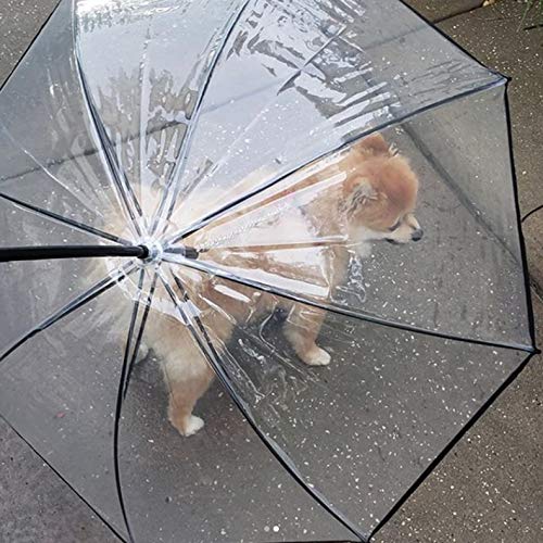 Lesypet Dog Umbrella with Leash for Small Pets, Umbrella for Dogs Fits 20” Back Length Pets