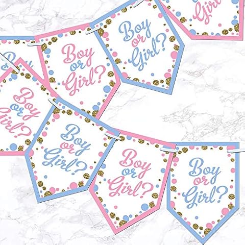 Gender Reveal Party Bunting Pink Blue Baby Shower Decoration Banner Glitter Effect - Pink & Blue Cover
