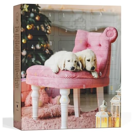 Städter Ausstechformen-Set Hundesnack, 2-teilig, ca. 7,5–9,5 cm 2 Hunde Adventskalender mit 24 Leckeries für den Vierbeiner I Hundesnacks für die Adventszeit I Geschenkidee für den Liebsten I Snacks für Hunde I Adventskalender 2020