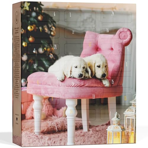 BOXILAND® Calendario de Adviento para Perros 2025 [con 24 GOLOSINAS para Perros] – Calendario Navideño Regalo para Perros – Idea de Regalo (Fabricado en Alemania)