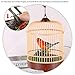 Liberty Imports Singing and Chirping Bird Toy in Cage - Realistic Sounds and Movements - Sound Activated