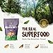 FLORESTA EM PÉ – Premium Brazil Nuts 15oz + Açaí Trail Mix 7oz | Organic, Kosher, Vegan, Gluten Free | Roasted Brazil Nuts with Himalayan Salt + Açaí & Cupuaçu Mix | Sustainably Harvested