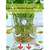 ARREBOL 2 Pack Clear Aquarium Plant Holder Top Hanging Fish Tank Plant Holders Fits up to 0.8in Tank Edges