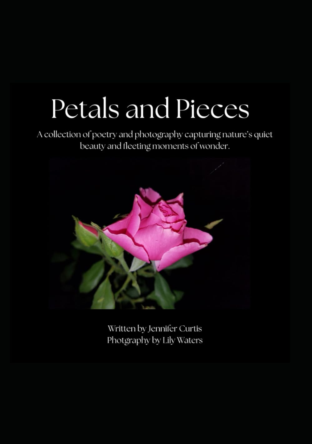 Petals and Pieces: A collection of poetry and photography capturing nature’s quiet beauty and fleeting moments of wonder.