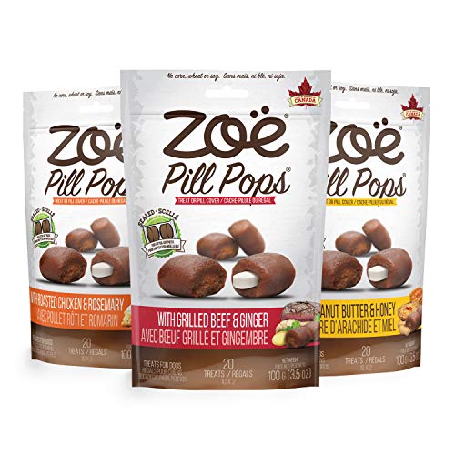 5 Best Dog Pill Pocket Treats and Pouches in 2020