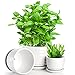 Fasmov Ceramic Plant Pots, 3.8+5.2+6.5 inch, 3 Pack Planters with Drainage Hole and Saucer, Round Modern Flower Pots Succulent Cactus Plant Pots for All House Plants, Flowers, Succulent, White