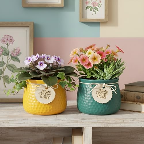 Image of Xtore Vibrant Textured Ceramic Planter Set of 2 with Wooden Tag Accent | Rustic Decorative Pots for Indoor Plants, Desk & Shelf Styling (Pack of 2, Planter only)