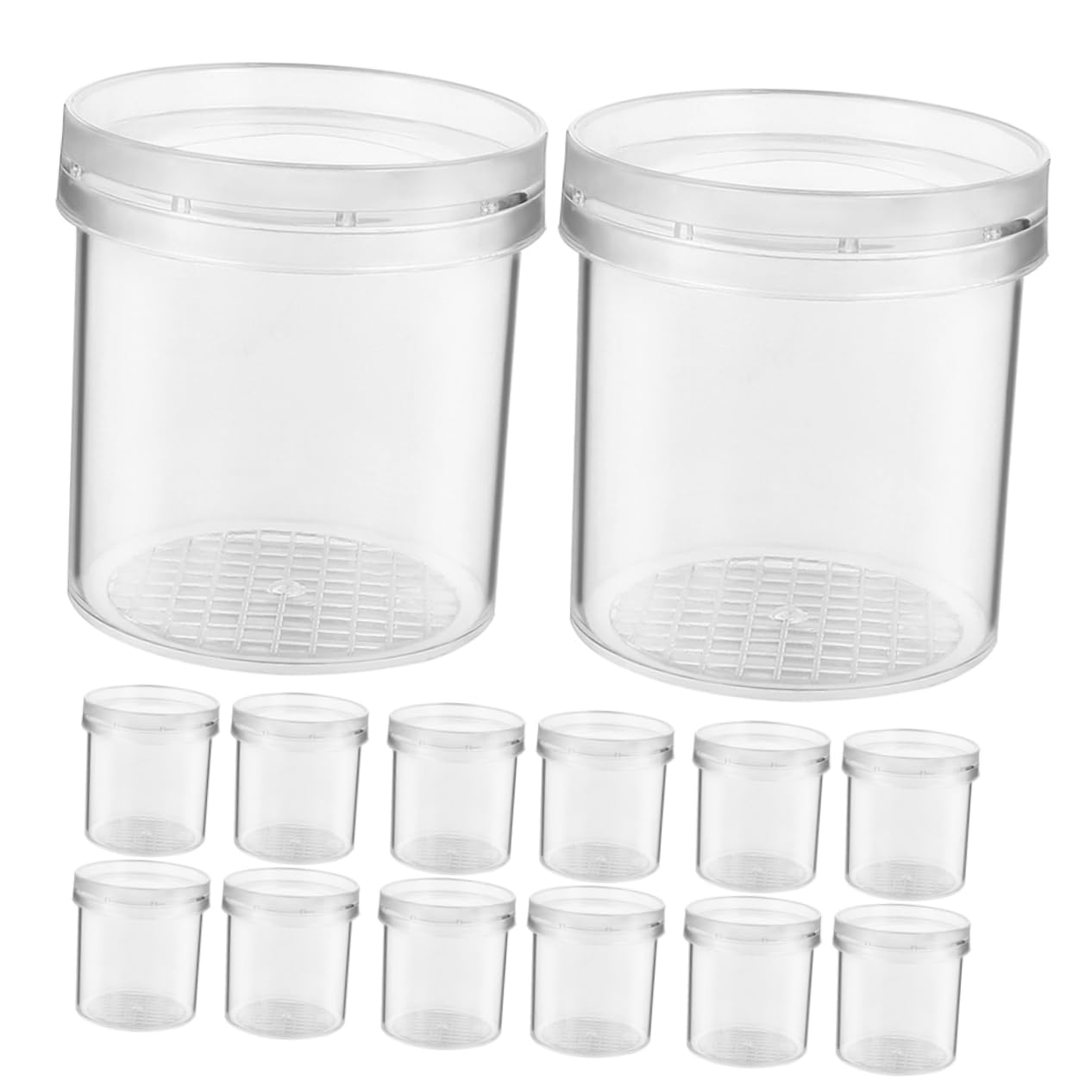 Caja de Observación de Insectos Portátil de Plástico 20 Piezas | Orificios de Renovación de Aire, para Flores y Rocas, Formato Compacto para Exploración
