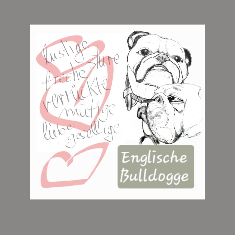 Englische Bulldogge