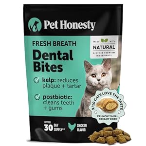 Fresh Breath Dental Bites for Cats – Crunchy & Creamy Cat Dental Treats for Fresh Breath, Tartar & Plaque Control – Dual-Texture Cat Oral Care Bites for Bright Teeth & Healthy Gums – 30 Day Supply