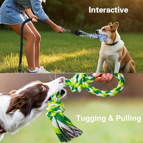 TUAHOO Bungee-Ziehspielzeug für Hunde, Outdoor Hundespielzeug zum Aufhängen mit 2 Kauseilen, Interaktives Tau Spielzeug Hunde Seil für Training Ziehen