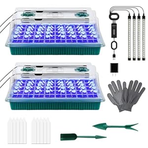 Dazztime 001 Zimmergewächshaus Anzuchtset mit Wachstumslichtern