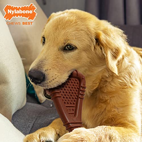 Nylabone Arch Bone Dental Power Chew Toy for Dogs, Dog Toys for Aggressive Chewers, Flavor, Large - Up to 50 lbs, 1 Count