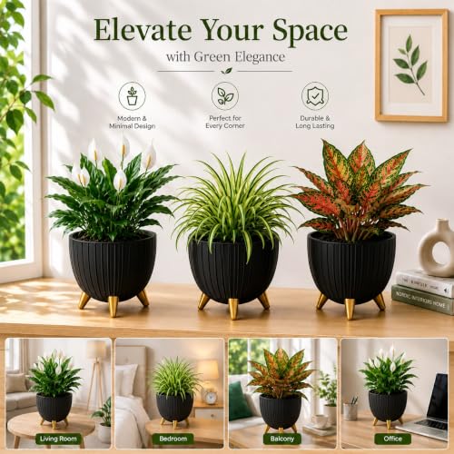 Image of Xmart India 7 Inch Decorative Plant Pot for Indoor & Outdoor Plants | Planter Pot with Stand & Legs |Ribbed Flower Pot for Home, Balcony, Garden, Living Room & Office | Plant Container (3, Black)