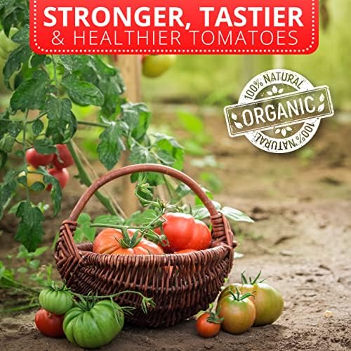 PlantWiz Organic Tomato Feed Concentrate for Healthier & Tastier Tomatoes | Natural Plant Feed for Tomatoes - Suitable Plant Food for Indoors & Outdoors - Makes Upto 33 Watering Cans* (1L)