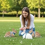 Adjustable Bunny Harness And Leash Set, Double Buckles Breathable Mesh Rabbit Vest with Reflective Strips, Escape Proof Small Pet Walking Training Gear for Rabbits, Kittens, Ferrets, Guinea Pigs (M) - Image 6