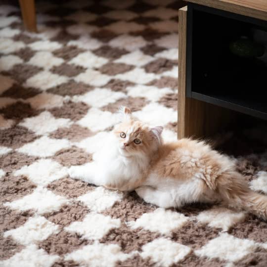 Checkered rug, Checkered Beni Ourain Rug, Brown and white moroccan rug, Moroccan Rug, brown rug, Beni Ourain Rug, Moroccan area rug Wool Rug (2x4ft)