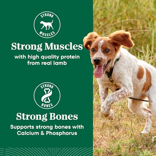 Nutro Natural Choice Small Bites Dry Dog Food, Lamb & Rice, 5 lb - image 9