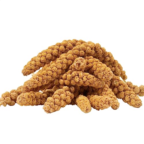 Lyra Pet® | 5 kg Kolbenhirse gelb | Ganzjähriges Vogelfutter für Ziervögel & Wildvögel | Handverlesene gelbe Hirse | Nährstoffreiche, naturbelassene Hirsekolben | Für Wellensittiche & Kanarienvögel